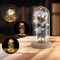 Eternal Preserved LED Rose with Butterfly in Glass Dome Décor